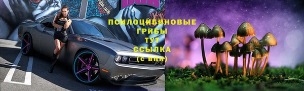 mdpv Арсеньев